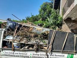 Best Property Management Cleanouts  in North Haledon, NJ