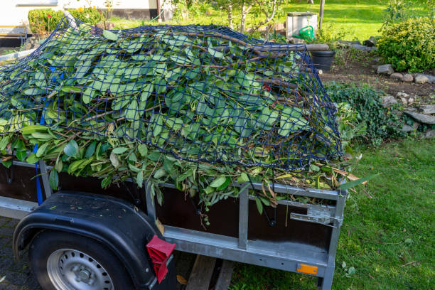 Best Shed Removal  in North Haledon, NJ